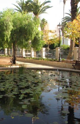 zichron21-270x415 zichron21-270x415